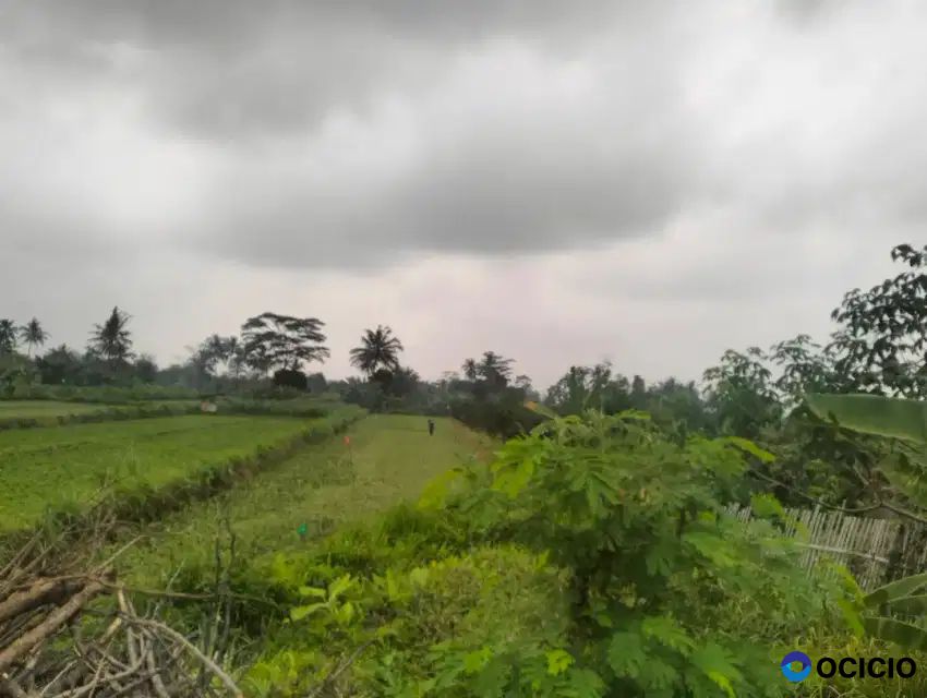 Dijual Tanah Sawah Di Jalan Magelang Km 10 Belakang Polres Sleman