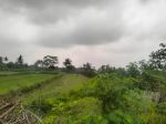 thumbnail-dijual-tanah-sawah-di-jalan-magelang-km-10-belakang-polres-sleman-0