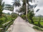 thumbnail-dijual-tanah-sawah-di-jalan-magelang-km-10-belakang-polres-sleman-1