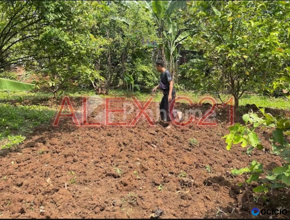 Dijual Tanah Residensial 200m² di  Pondok Cina, Beji, Kota Depok