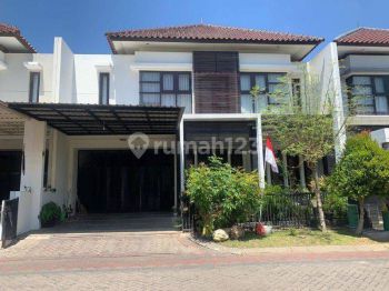 Rumah Di Kertajaya Indah Regency Bagus Shm Murah !