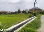 thumbnail-dijual-tanah-sawah-belakng-toko-janu-putra-timur-pr4an-cebongan-2