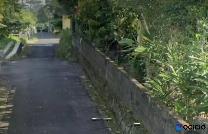 Dijual Tanah Pekarangan Di Bangunkerto Turi Sleman