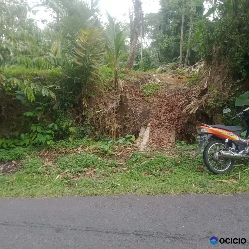 Dijual Tanah Pekarangan Kosong Di Mirikebo Girikerto Turi Sleman
