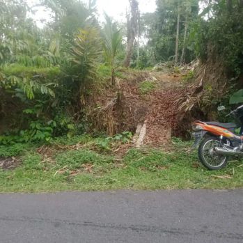Dijual Tanah Pekarangan Kosong Di Mirikebo Girikerto Turi Sleman