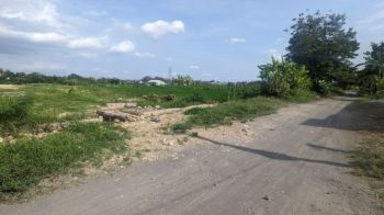 Mulai 4Juta-an Prospektif Tanah Trihanggo Sleman, Jogja