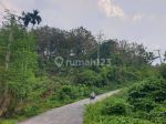 thumbnail-tanah-kebun-jati-murah-jalan-utama-menghadap-danau-ranau-dan-gunung-seminung-0