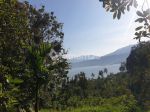 thumbnail-tanah-kebun-jati-murah-jalan-utama-menghadap-danau-ranau-dan-gunung-seminung-1