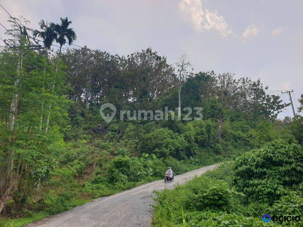 Tanah Kebun Jati Murah Jalan Utama Menghadap Danau Ranau Dan Gunung Seminung