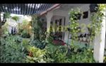 thumbnail-jual-rumah-pondok-bambu-duren-sawit-jakarta-timur-3