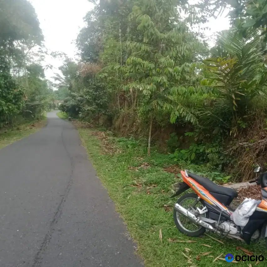 Dijual Tanah Pekarangan Di Girikerto Turi Sleman