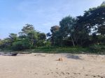 thumbnail-tanah-pinggir-pantai-krui-pesisir-barat-1