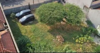 Dijual tanah kavling murah 260 m harga 7 jt an/m strategis di galaxy