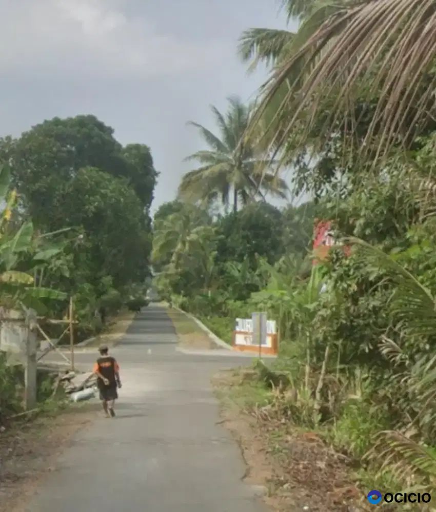 Djual Tanah Sawah Di Turi Bawah Selatan Bangjo Ngablak