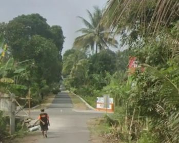 Djual Tanah Sawah Di Turi Bawah Selatan Bangjo Ngablak