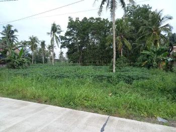 tanah 8000 meter di kawasan industri tanjung bintang