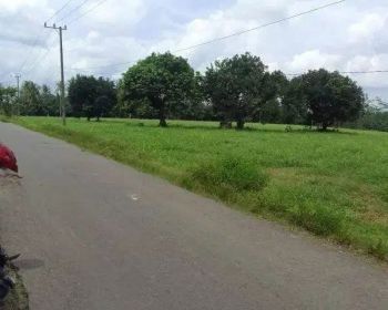 tanah 8,7 hektar pinggir jalan aspal natar