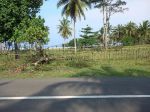 thumbnail-tanah-di-pantai-mandiri-krui-pesisir-barat-0