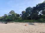 thumbnail-tanah-7600-meter-pinggir-pantai-krui-pesisir-barat-1