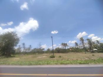 tanah 4600 meter pinggir jalan lintas kalianda