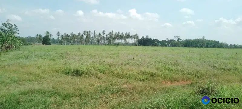 tanah 5 hektar di negeri sakti pesawaran