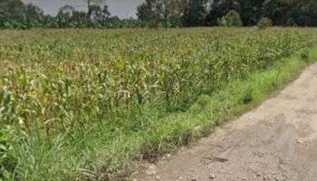 Tanah 30 hektar pinggir jalan aspal natar