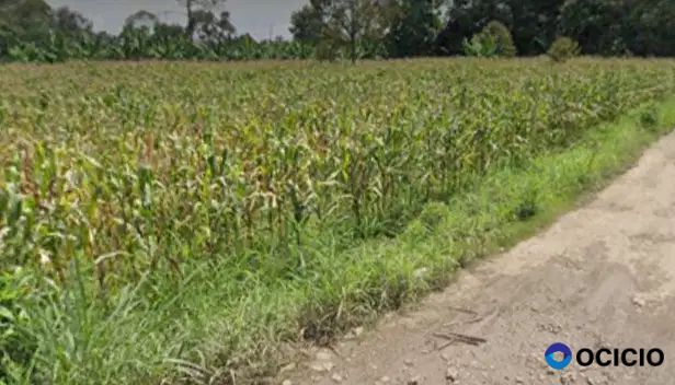 Tanah 30 hektar pinggir jalan aspal natar