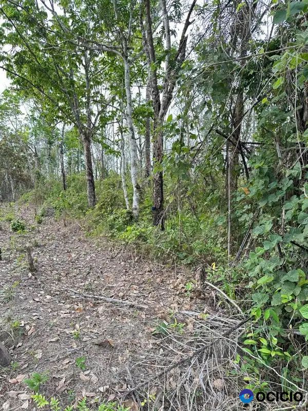 Tanah 468 hektare di way kanan