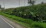 thumbnail-tanah-pinggir-lintas-sumatera-dekat-gerbang-tol-sidomulyo-1