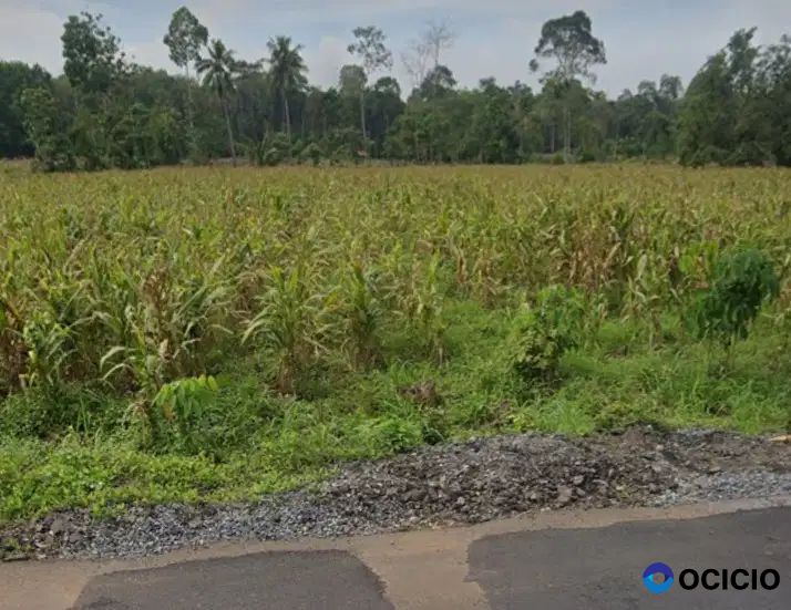 tanah 12 ha di jalan poros branti gedong tataan