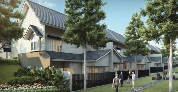 Amadeus Signature Tipe Serenata