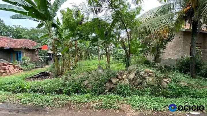 tanah 384 meter di rajabasa jaya