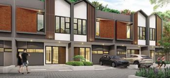 Blossom Park Tipe Dandelion