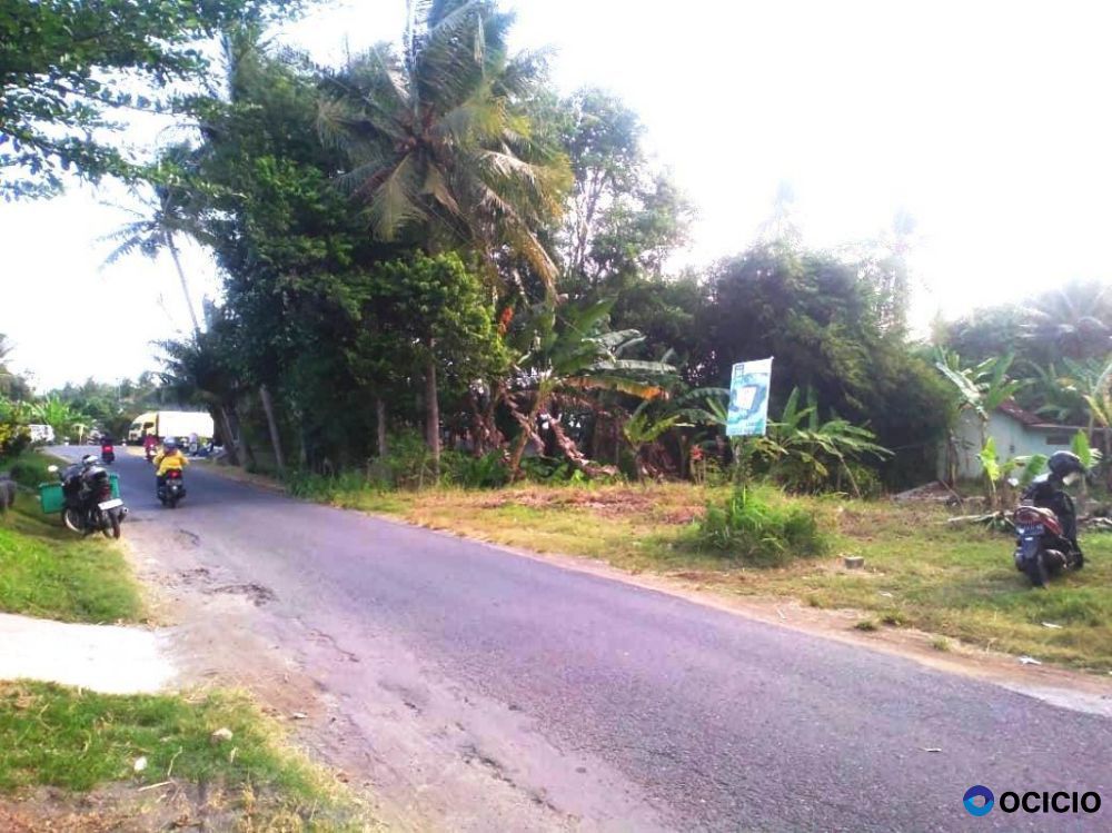 Jual Tanah Mangku Jalan di Wates kulon progo yogyakarta