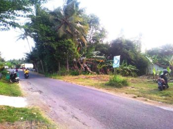 Jual Tanah Mangku Jalan di Wates kulon progo yogyakarta