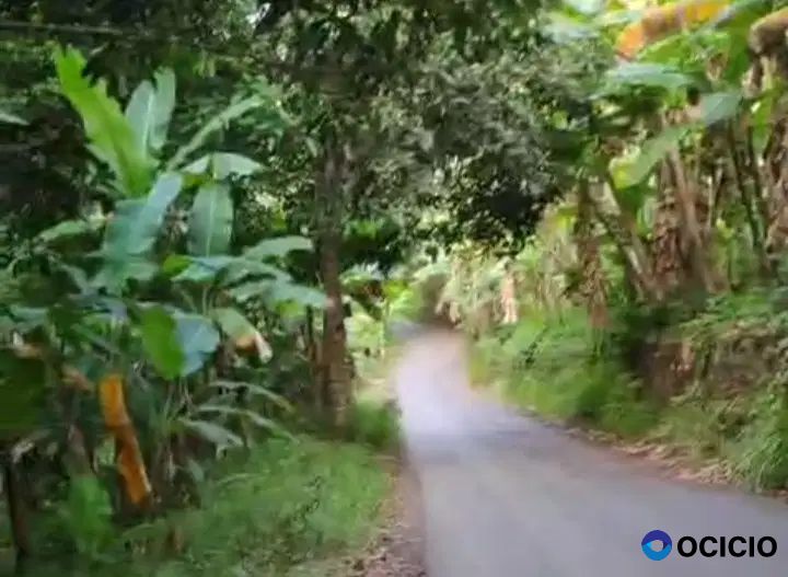 tanah 1 hektar di teluk betung bandar lampung