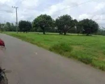 tanah 8,7 hektar di natar