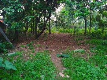 Tanah datar dekat pintu toll gunung putri bogor