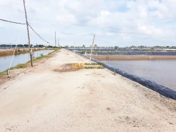 Dijual Tambak Brandan Lokasi Dusun Suka Mulia - Babalan, Langkat