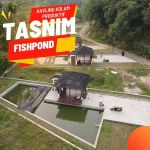 thumbnail-tasnim-fish-pond-tipe-300-1