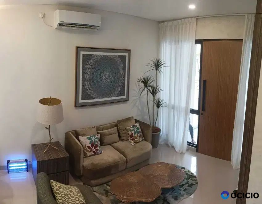 Premier Promenade Tipe Violet