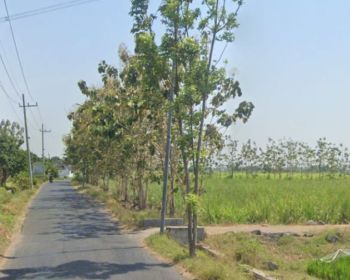 Tanah sawah murah ds. Balong garut kerembung nego sampai dil