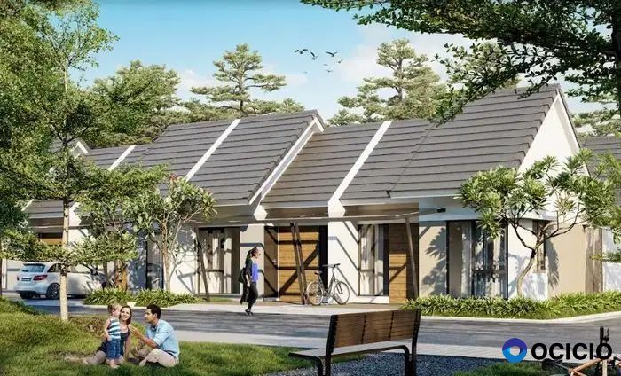 Mutiara Columbus Tipe Pianta