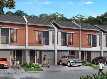 Puri Canary Tipe Cinnamon