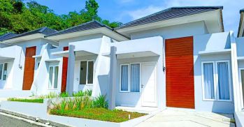 Aquila Valley Tipe Maleo