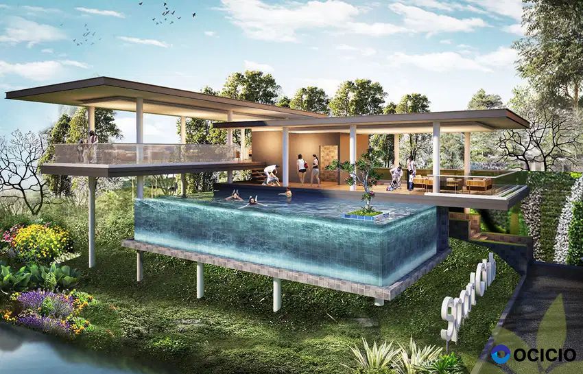 Golden Cikeas Tipe Semeru