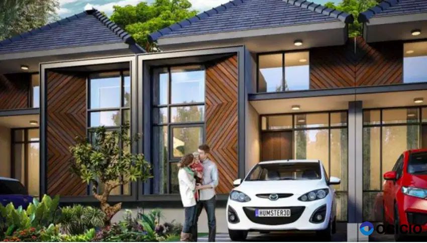 Golden Flower Legok Tipe Amaryllis Basic