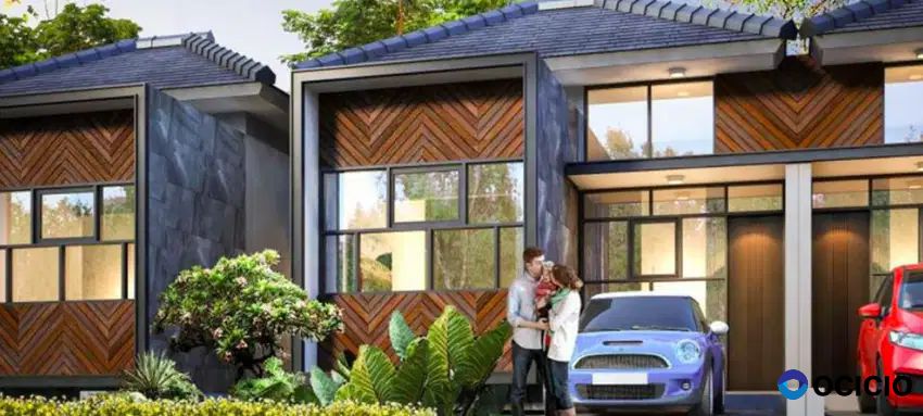 Golden Flower Legok Tipe Chrysant