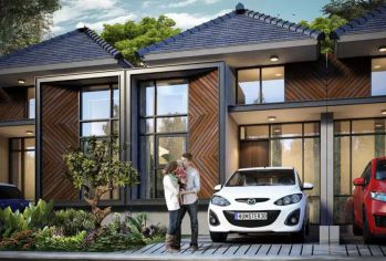 Golden Flower Legok Tipe Amaryllis Basic Plus