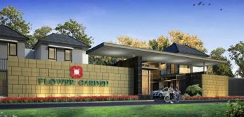 Golden City - Cluster Flower Garden Tipe Marigold/Hoek